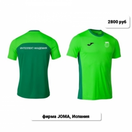 Мерч Интеллект Академии