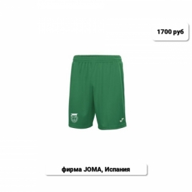 Мерч Интеллект Академии