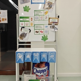 ДЕНЬ ДОБРОВОЛЬЦА