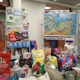 Новогодний благотворительный марафон «Поможем хвостикам вместе!»