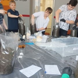 Эксперименты в СибГИУ