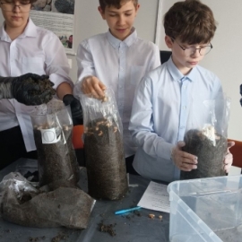 Эксперименты в СибГИУ