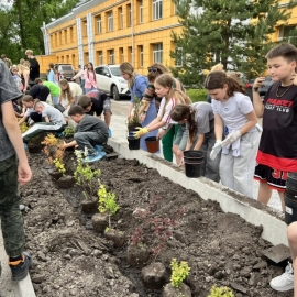 Новый виток сотрудничества Интеллект Академии и СибГИУ